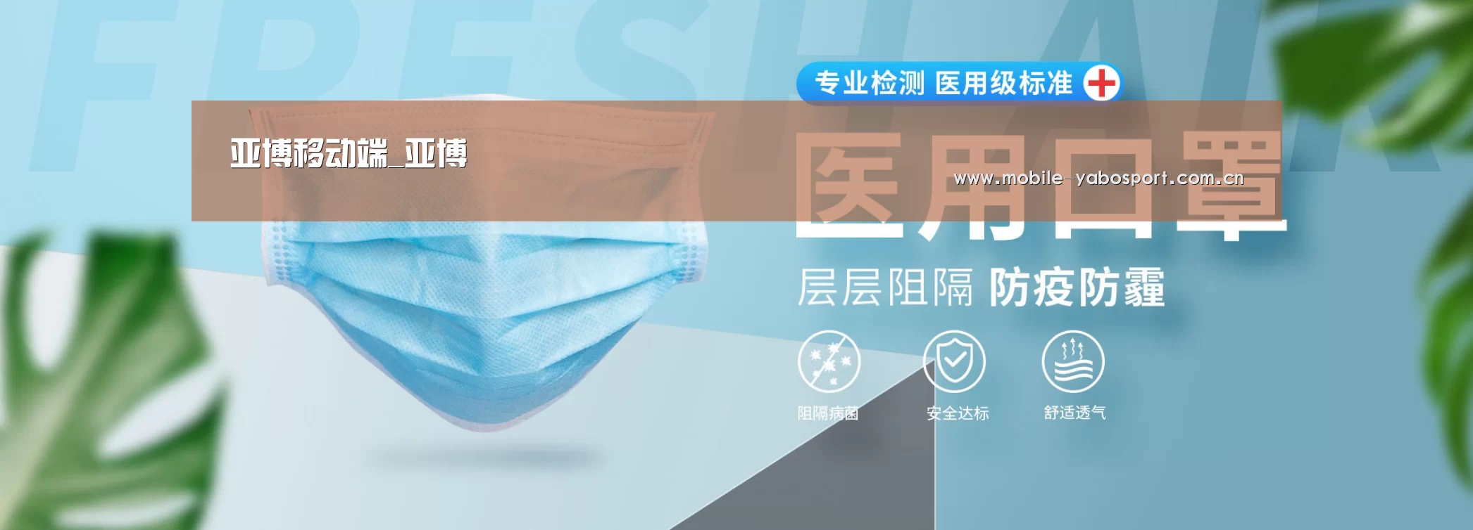 某某口罩防护用品有限公司