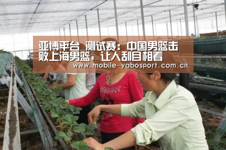 亚博平台_测试赛:中国男篮击败上海男篮,让人刮目相看(图2) 亚博体育