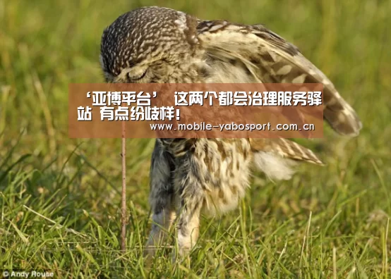 ‘亚博平台’
这两个都会治理服务驿站 有点纷歧样！