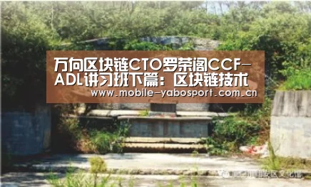 万向区块链CTO罗荣阁CCF-ADL讲习班下篇：区块链技术及其商业价值分析_亚博