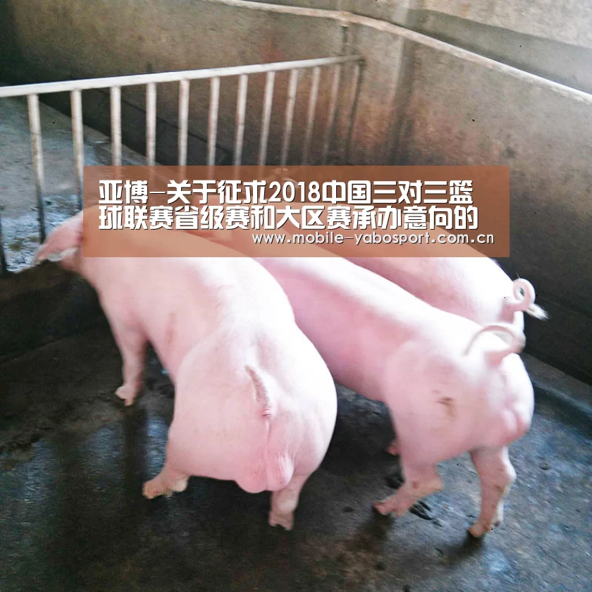 亚博-关于征求2018中国三对三篮球联赛省级赛和大区赛承办意向的函