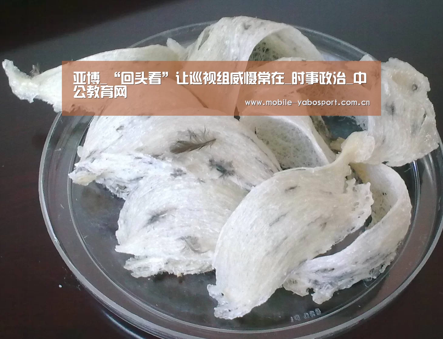 亚博官网