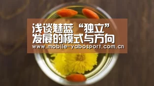 浅谈魅蓝“独立”发展的模式与方向“亚博平台”