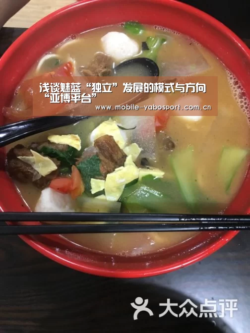 浅谈魅蓝“独立”发展的模式与方向“亚博平台”(图3) 亚博平台