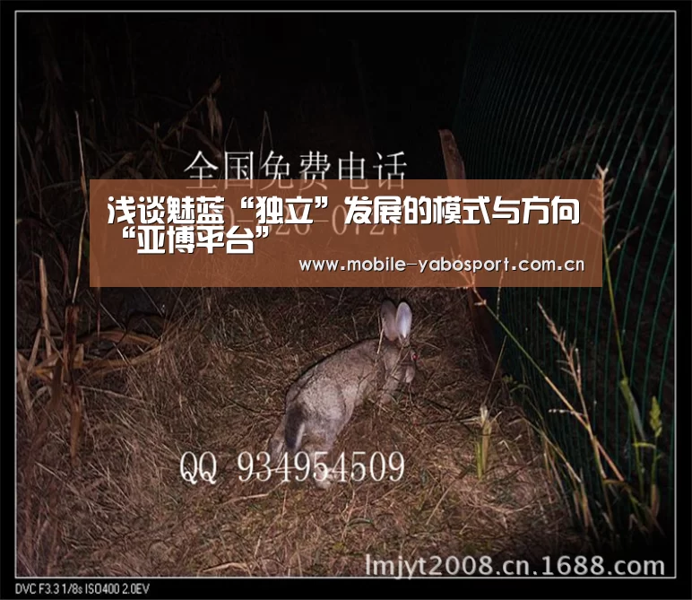 浅谈魅蓝“独立”发展的模式与方向“亚博平台”(图2) 亚博平台
