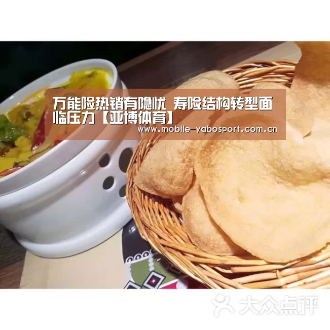 万能险热销有隐忧 寿险结构转型面临压力【亚博体育】(图4) 亚博平台