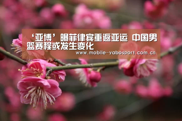 ‘亚博’曝菲律宾重返亚运 中国男篮赛程或发生变化