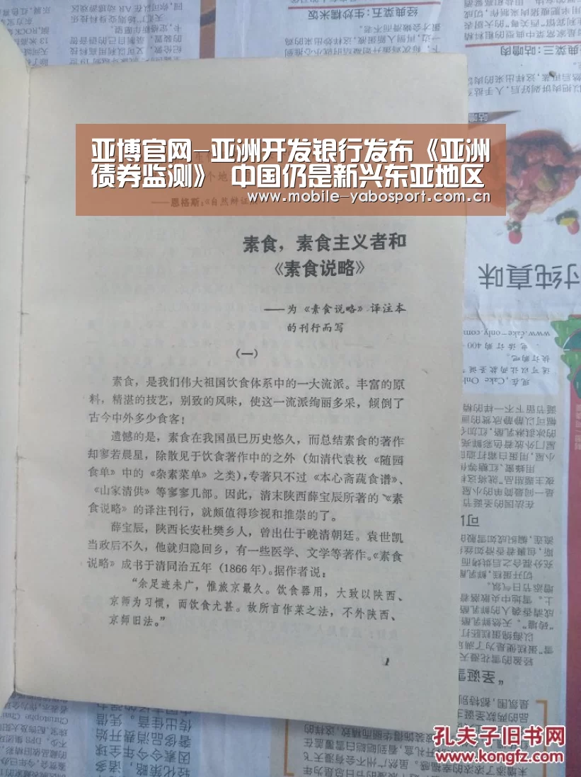 亚博官网-亚洲开发银行发布《亚洲债券监测》 中国仍是新兴东亚地区最大规模的债券市场(图2) 亚博平台