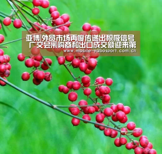 亚博|外贸市场再度传递出积极信号 广交会采购商和出口成交额迎来第5次“双增长”