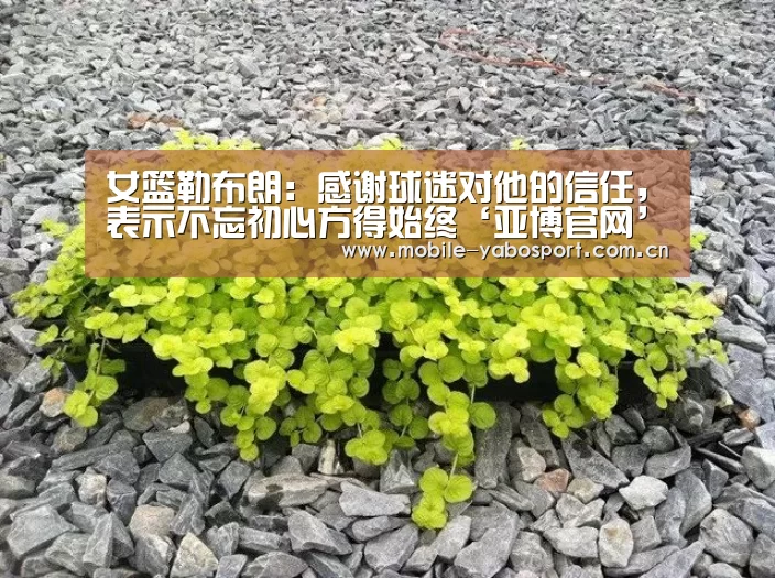女篮勒布朗：感谢球迷对他的信任，表示不忘初心方得始终‘亚博官网’
